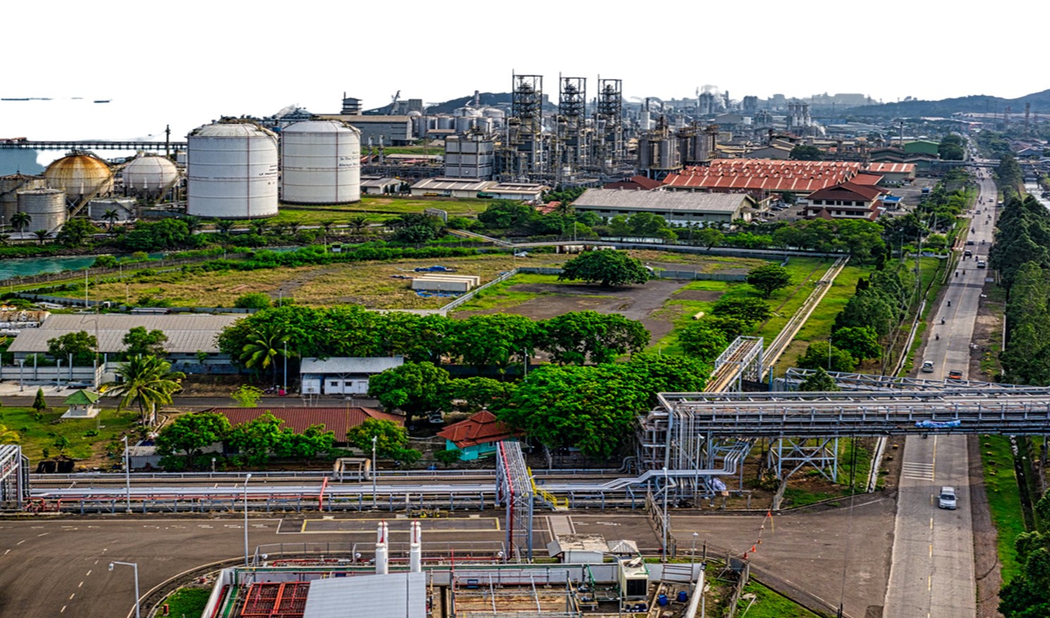 صورة المقال